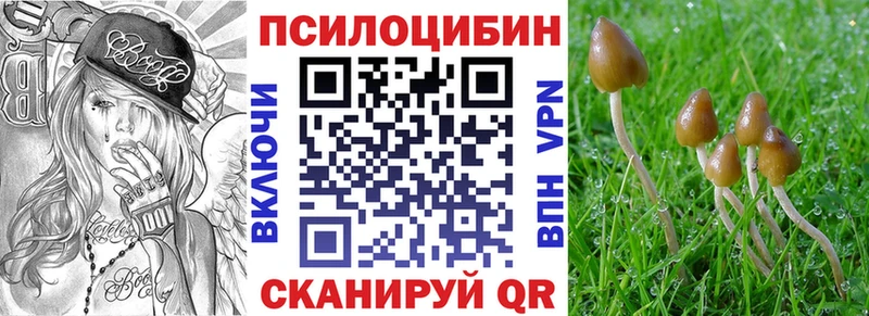 Псилоцибиновые грибы прущие грибы  цены   Строитель 